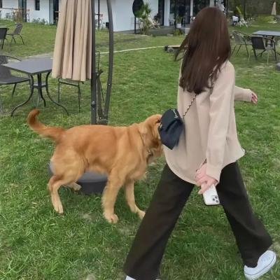 圆月迷离花